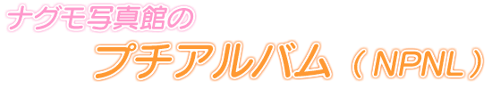 �i�O���ʐ^�ق̃v�`�A���o���iNPNL�j